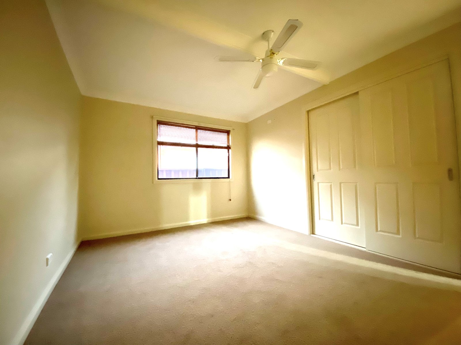 40 Kathleen Street TAMWORTH 5