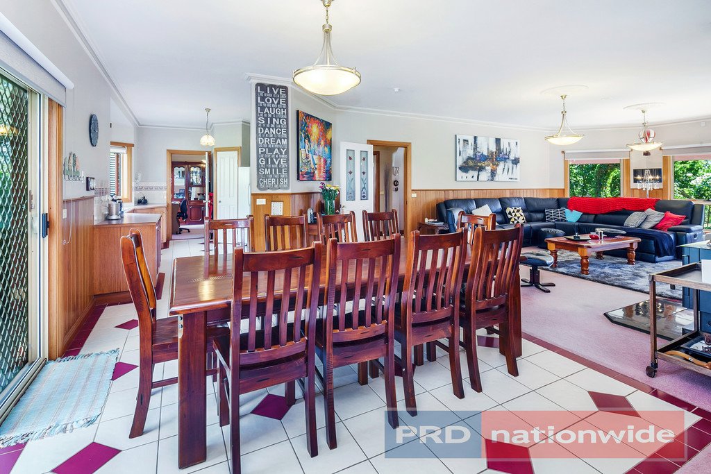 40 Kelly's Lane SULKY 3