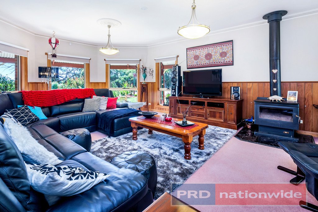 40 Kelly's Lane SULKY 5