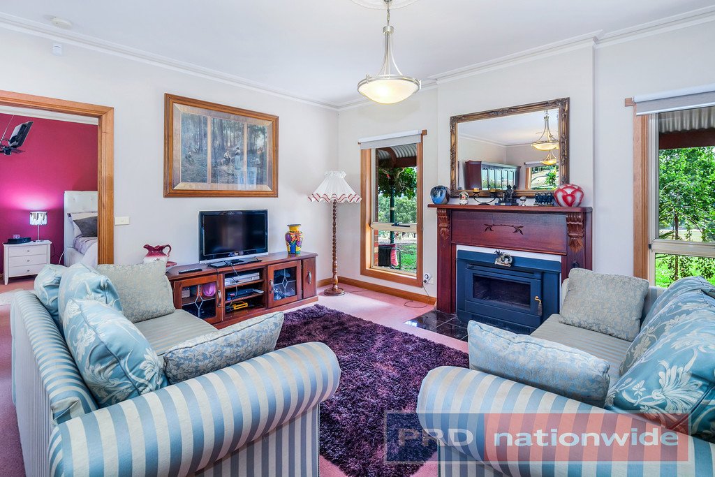 40 Kelly's Lane SULKY 6