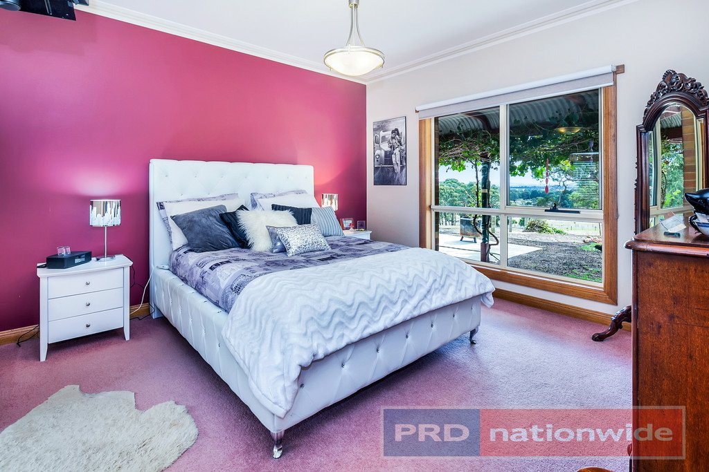 40 Kelly's Lane SULKY 7