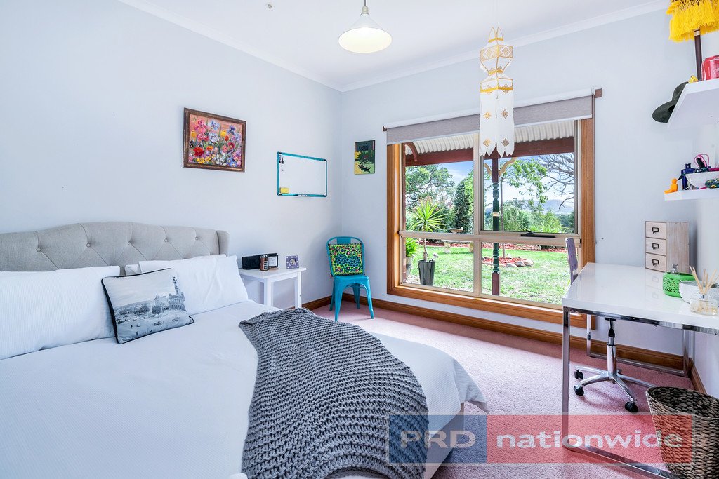 40 Kelly's Lane SULKY 9