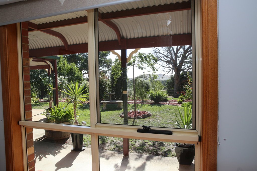 40 Kelly's Lane SULKY 11