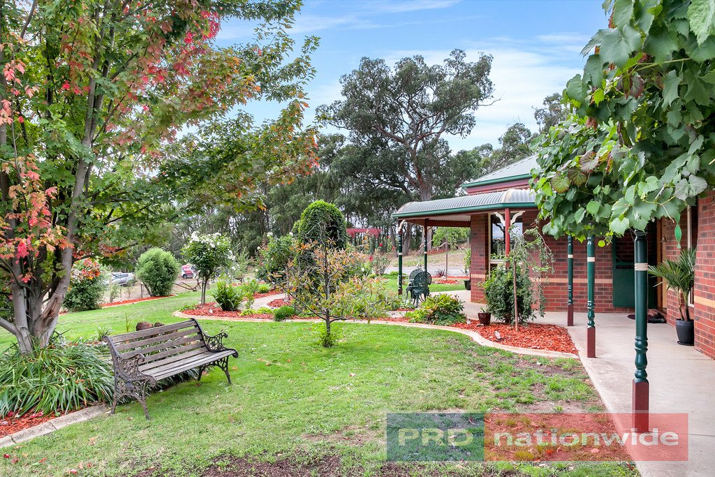 40 Kelly's Lane SULKY 14