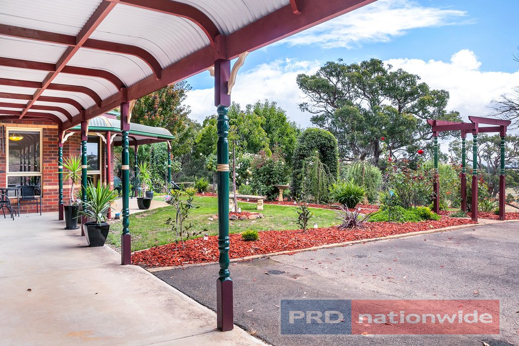 40 Kelly's Lane SULKY 15