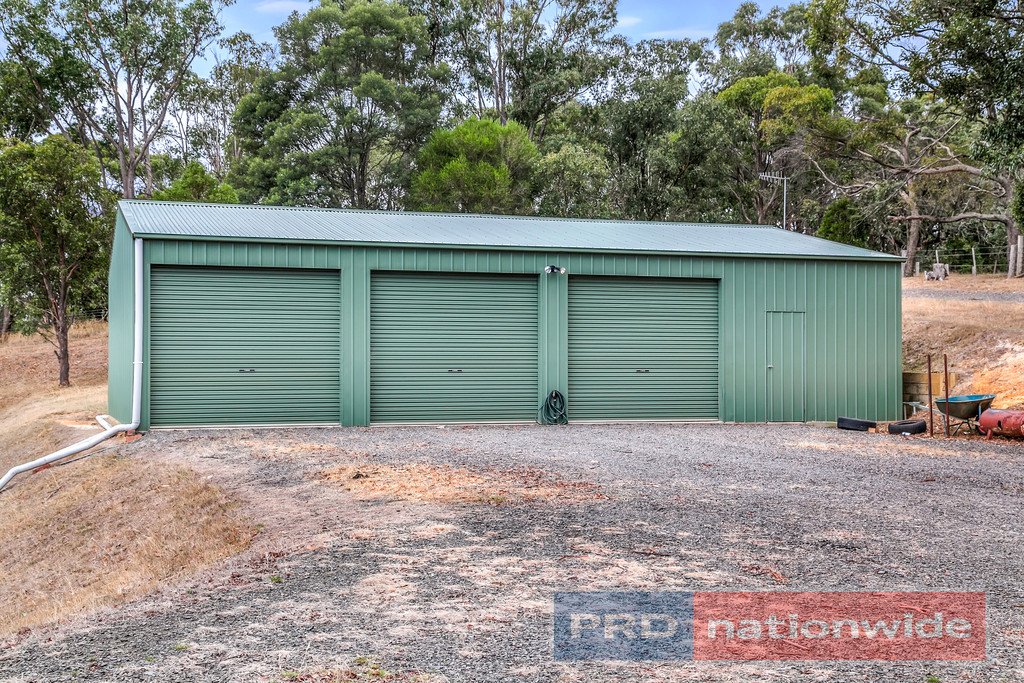 40 Kelly's Lane SULKY 16