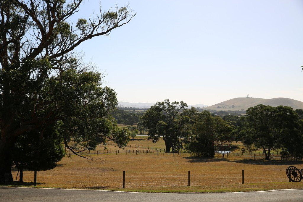 40 Kelly's Lane SULKY 18