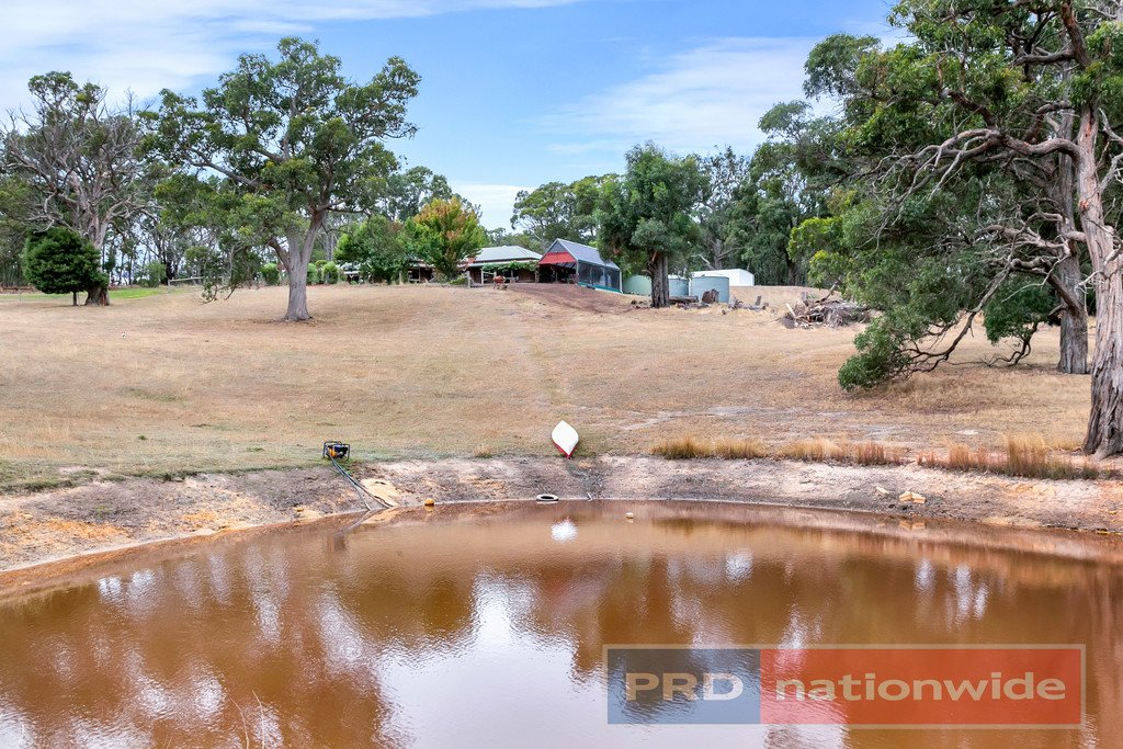 40 Kelly's Lane SULKY 19