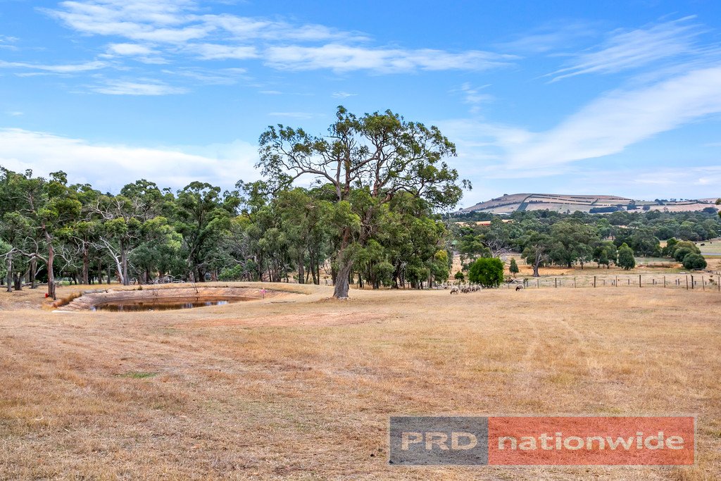 40 Kelly's Lane SULKY 20