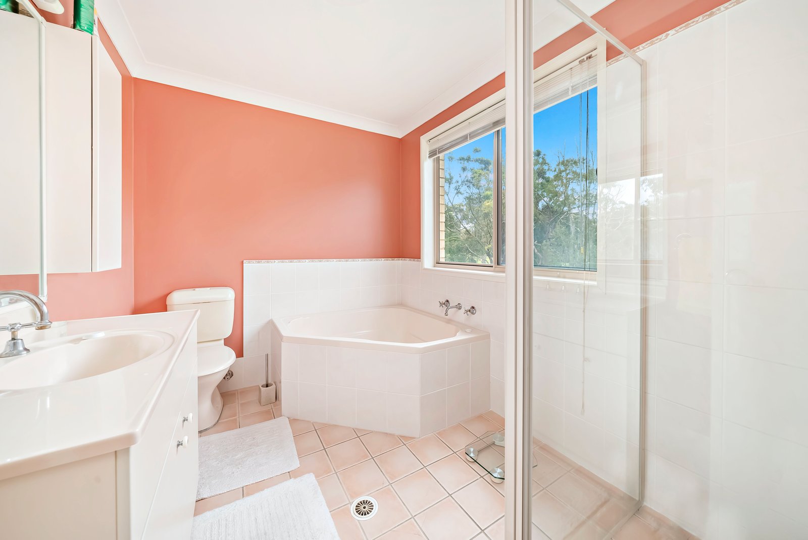 40 Kestrel Avenue SALAMANDER BAY 12