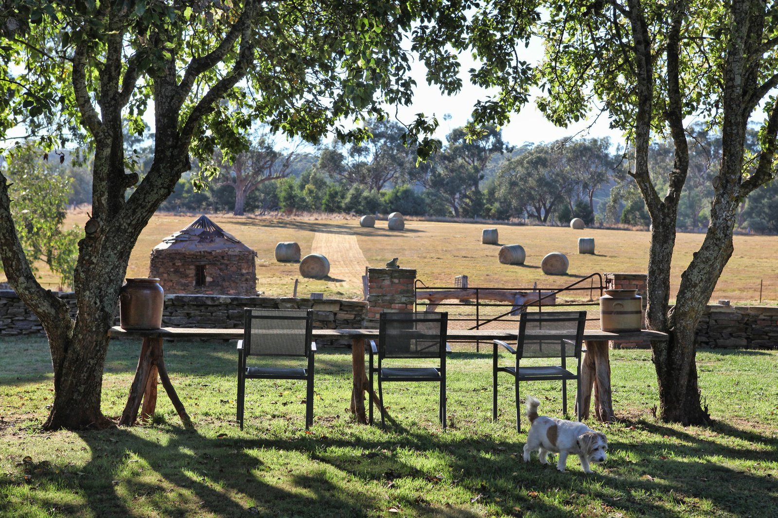 Real Estate and Property in 40 Koala Drive, Newham, VIC