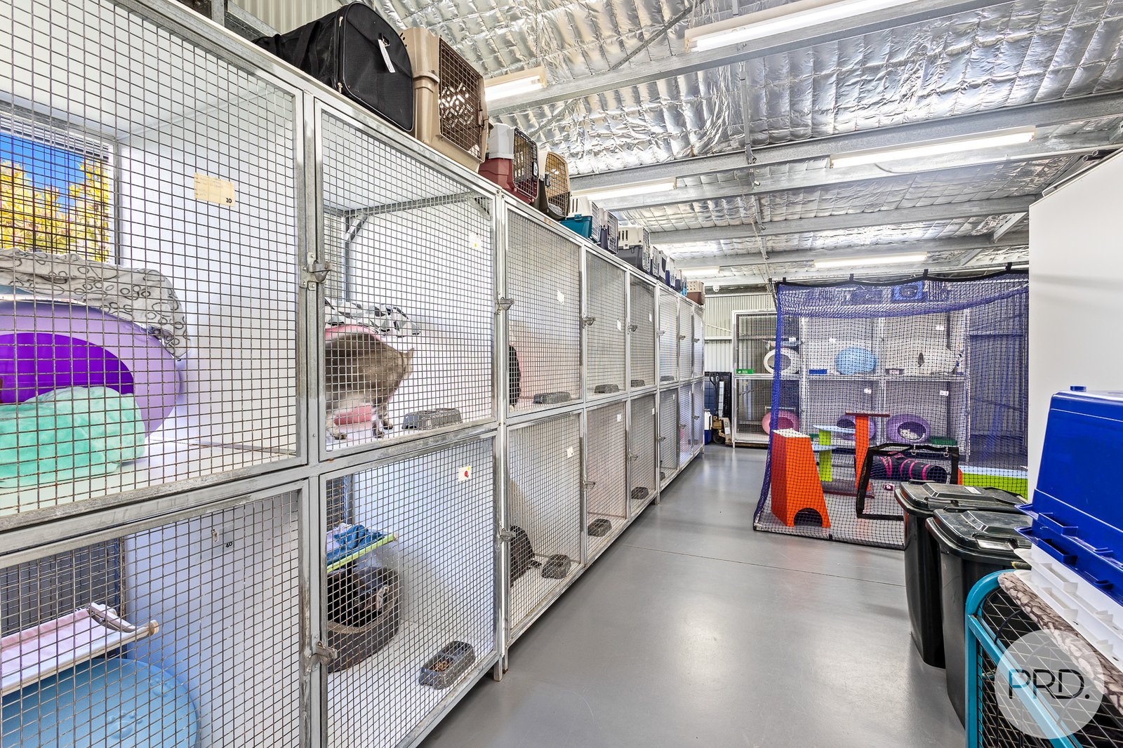 40 Lemon Tree Passage Road SALT ASH 25