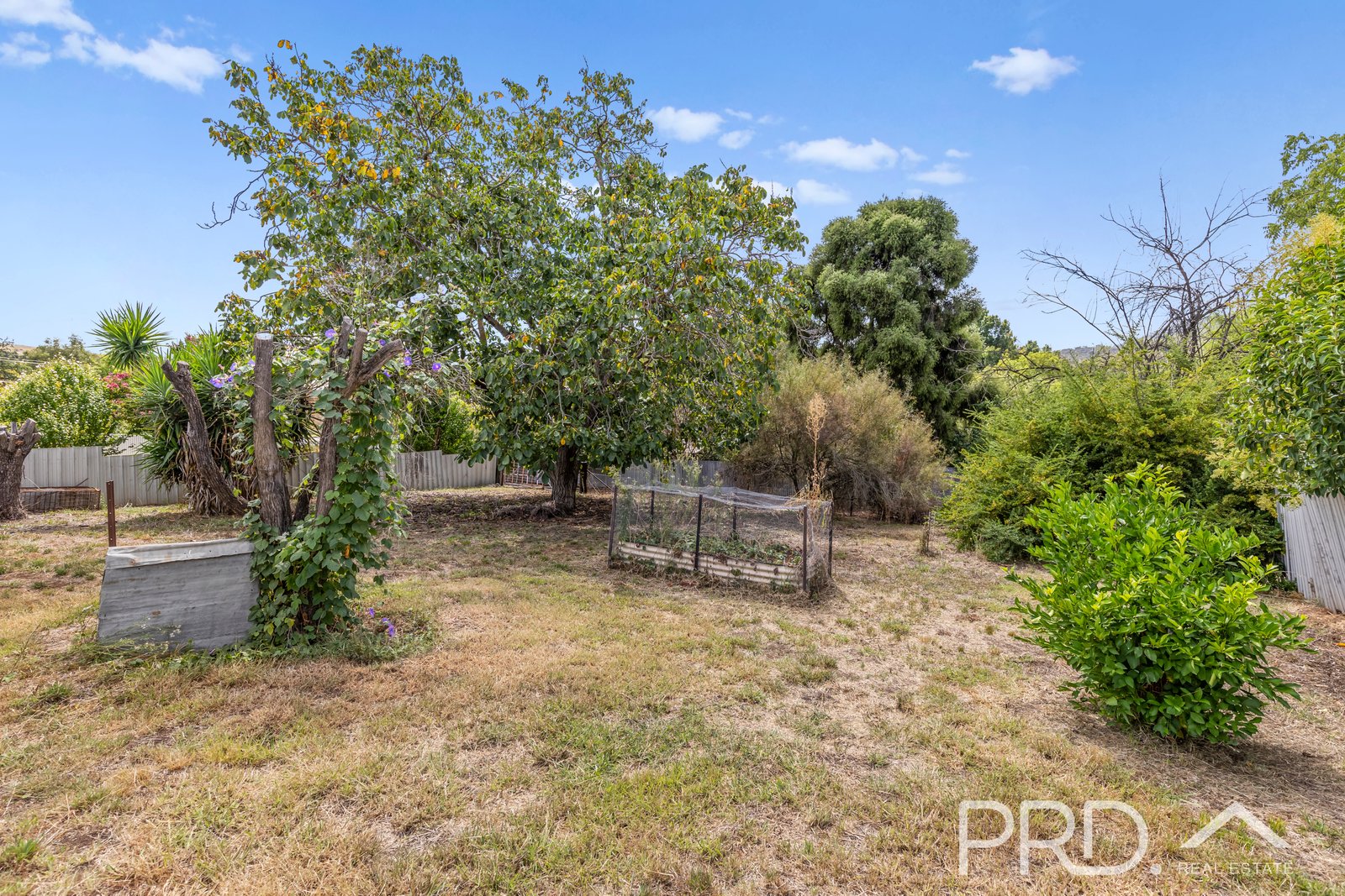 40 Lockhart Street ADELONG 13