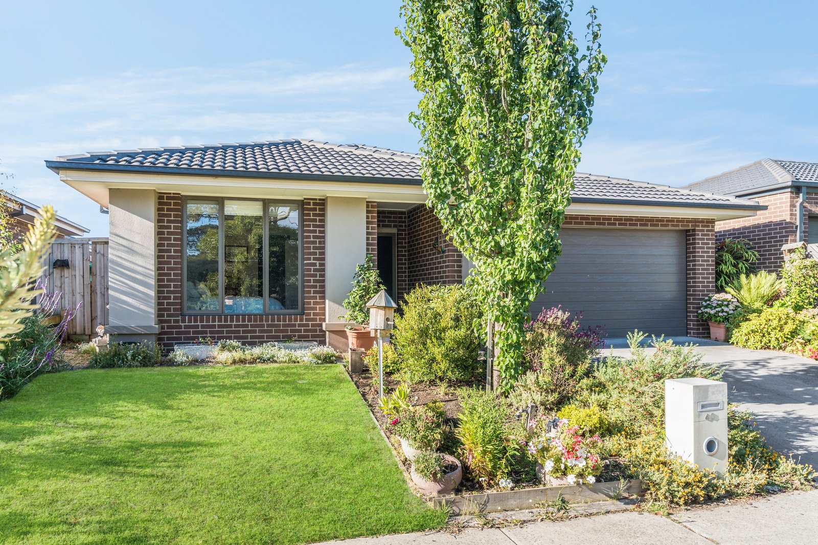 Gallery: 40 Massey Crescent