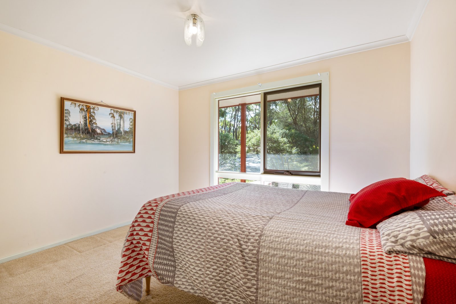 40 Moffats Road DEREEL 6
