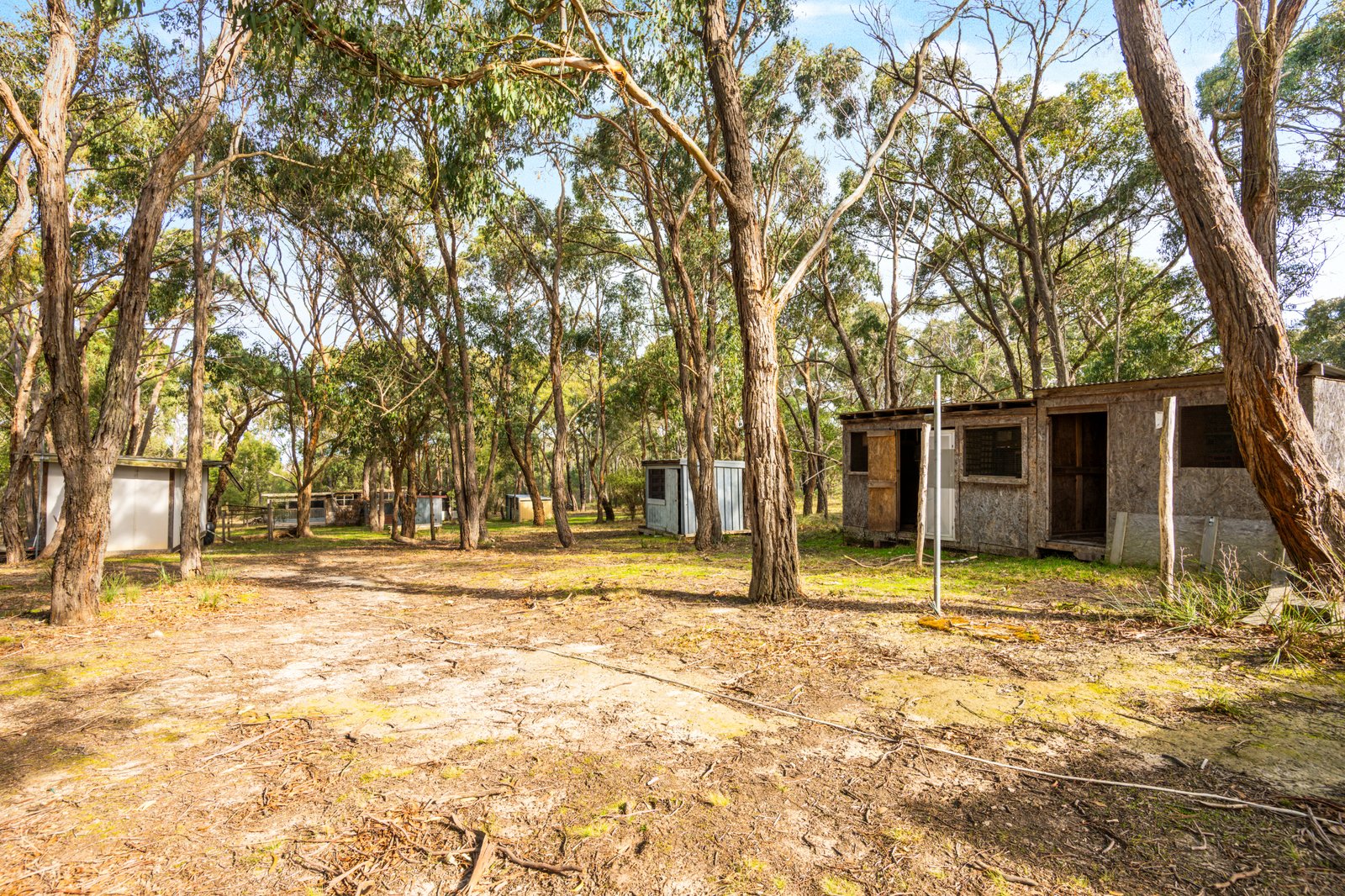 40 Moffats Road DEREEL 12