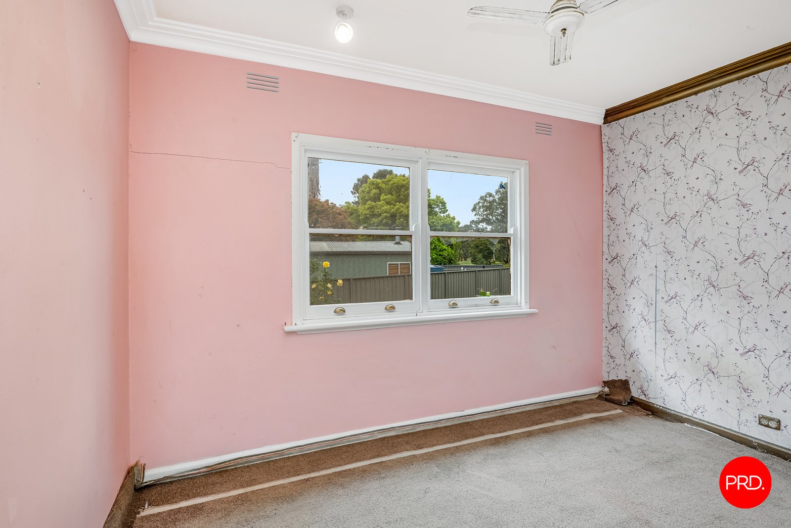 40 Montgomery Crescent WHITE HILLS 5