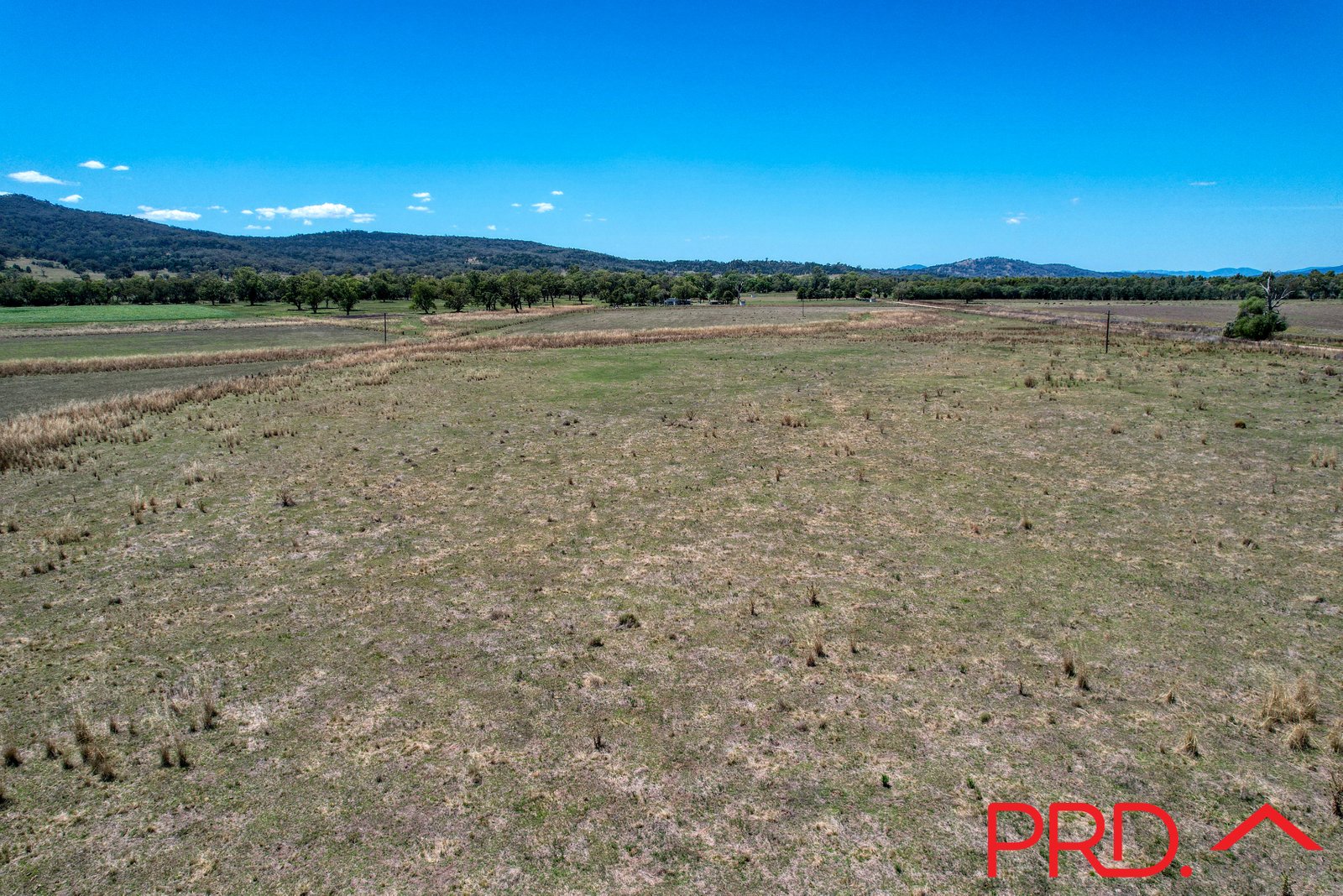 40 Nicholsons Lagoon Road QUIRINDI 23