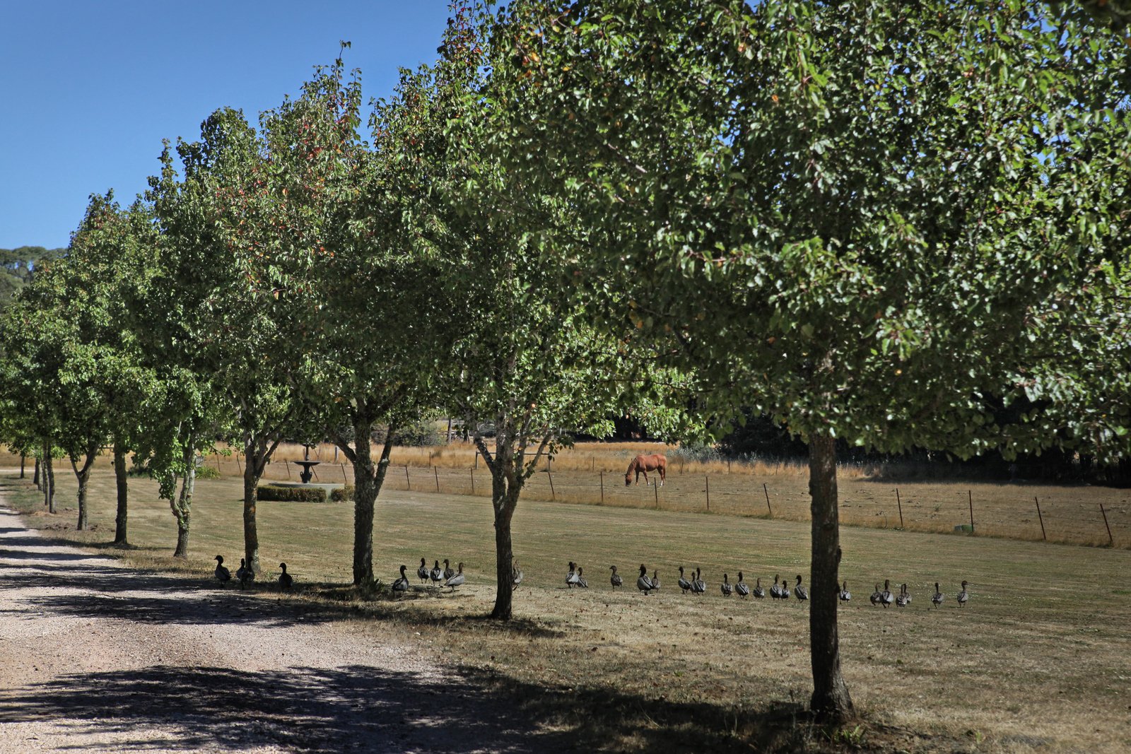 Real Estate and Property in 40 Plants Lane, Woodend, VIC