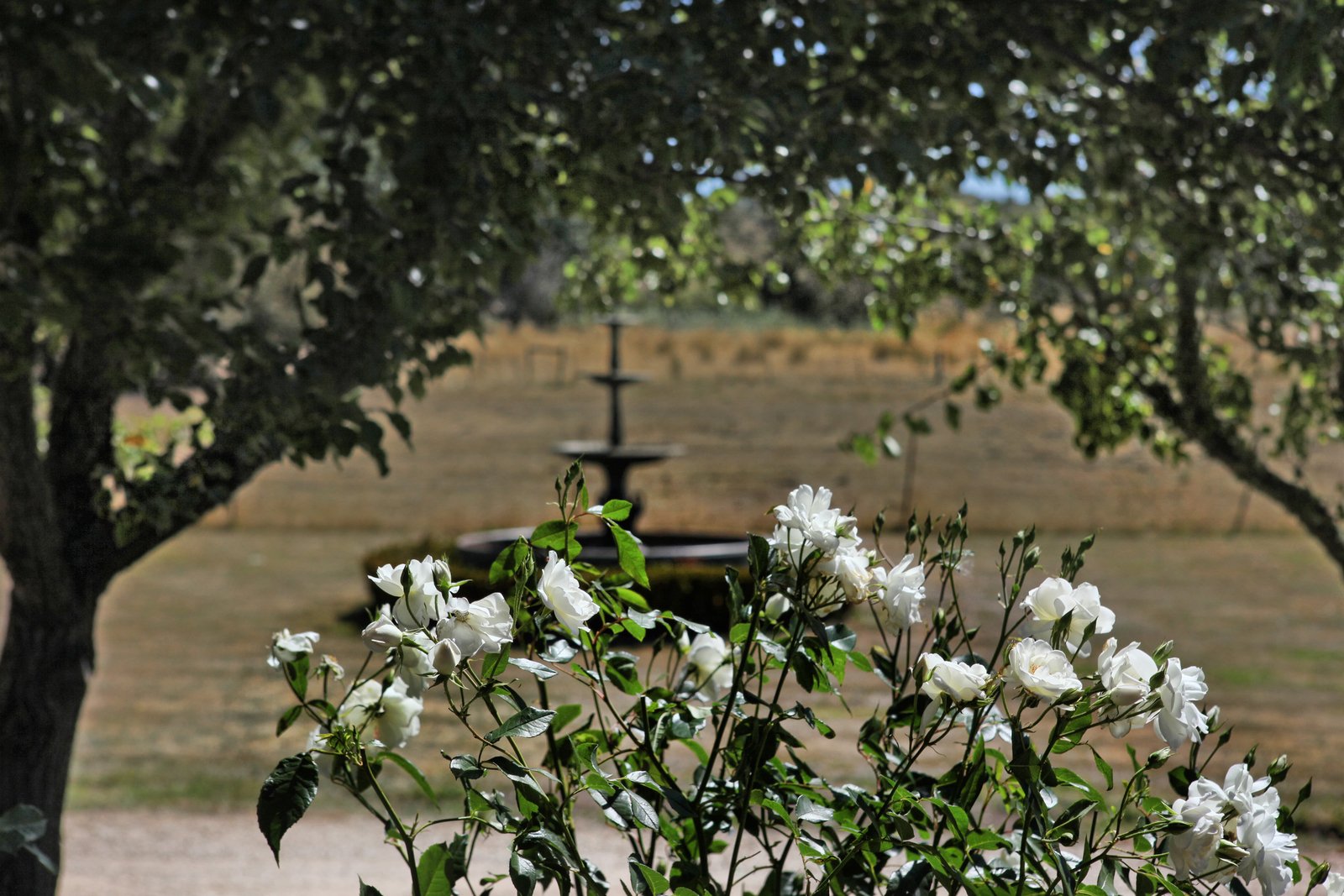 Real Estate and Property in 40 Plants Lane, Woodend, VIC