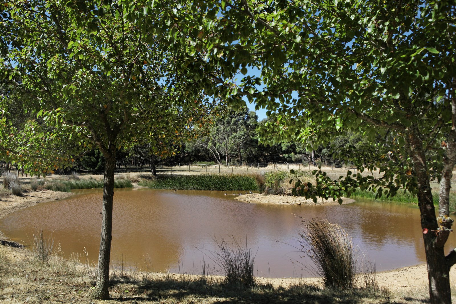 Real Estate and Property in 40 Plants Lane, Woodend, VIC