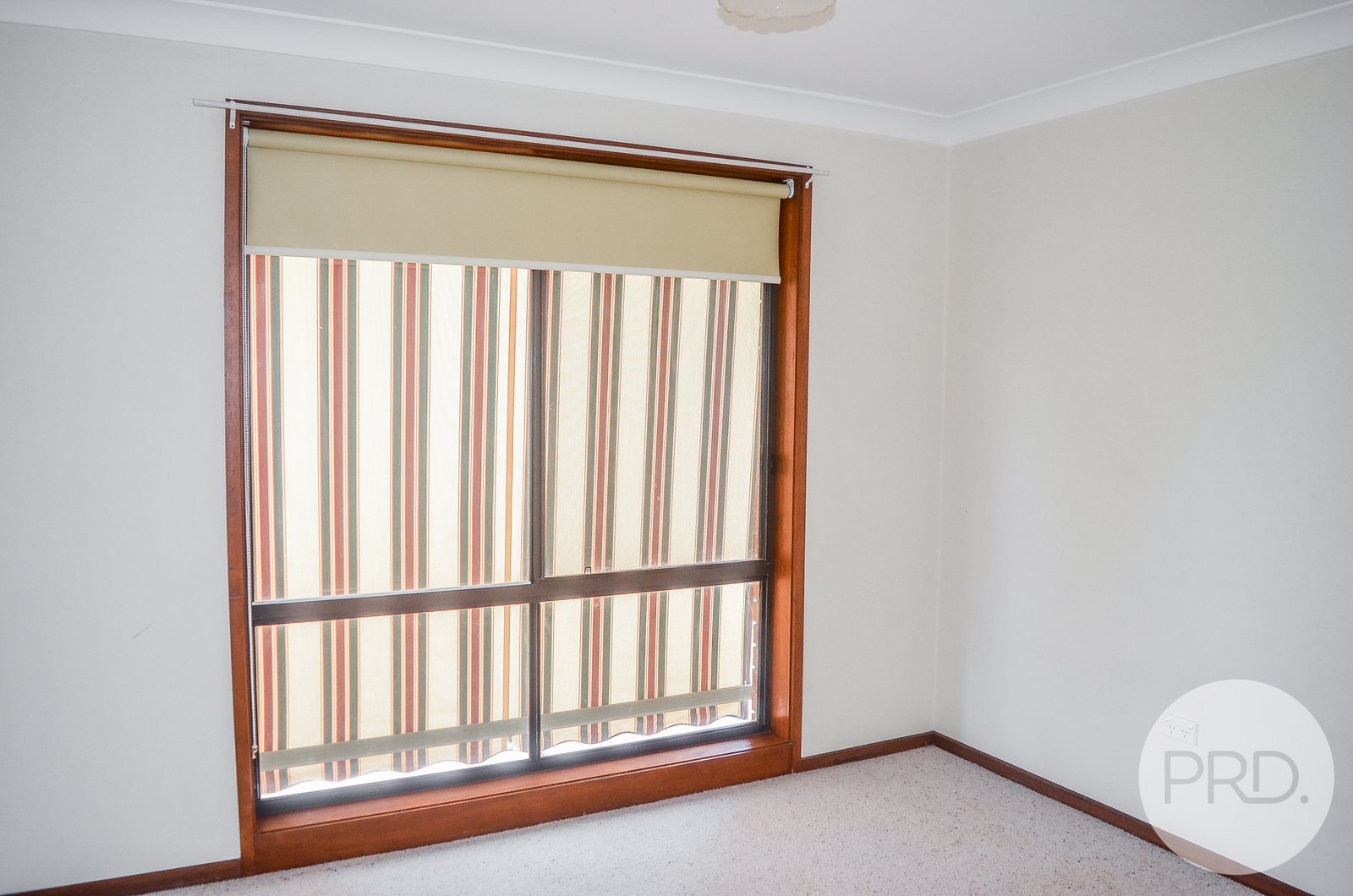 40 Pugsley Ave  ESTELLA 6