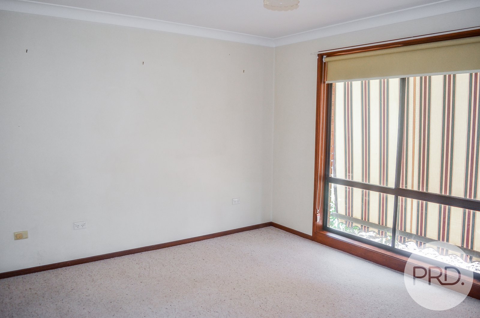 40 Pugsley Ave  ESTELLA 7