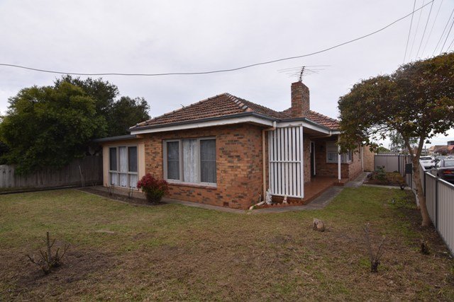 Gallery: 40 Shannon Avenue