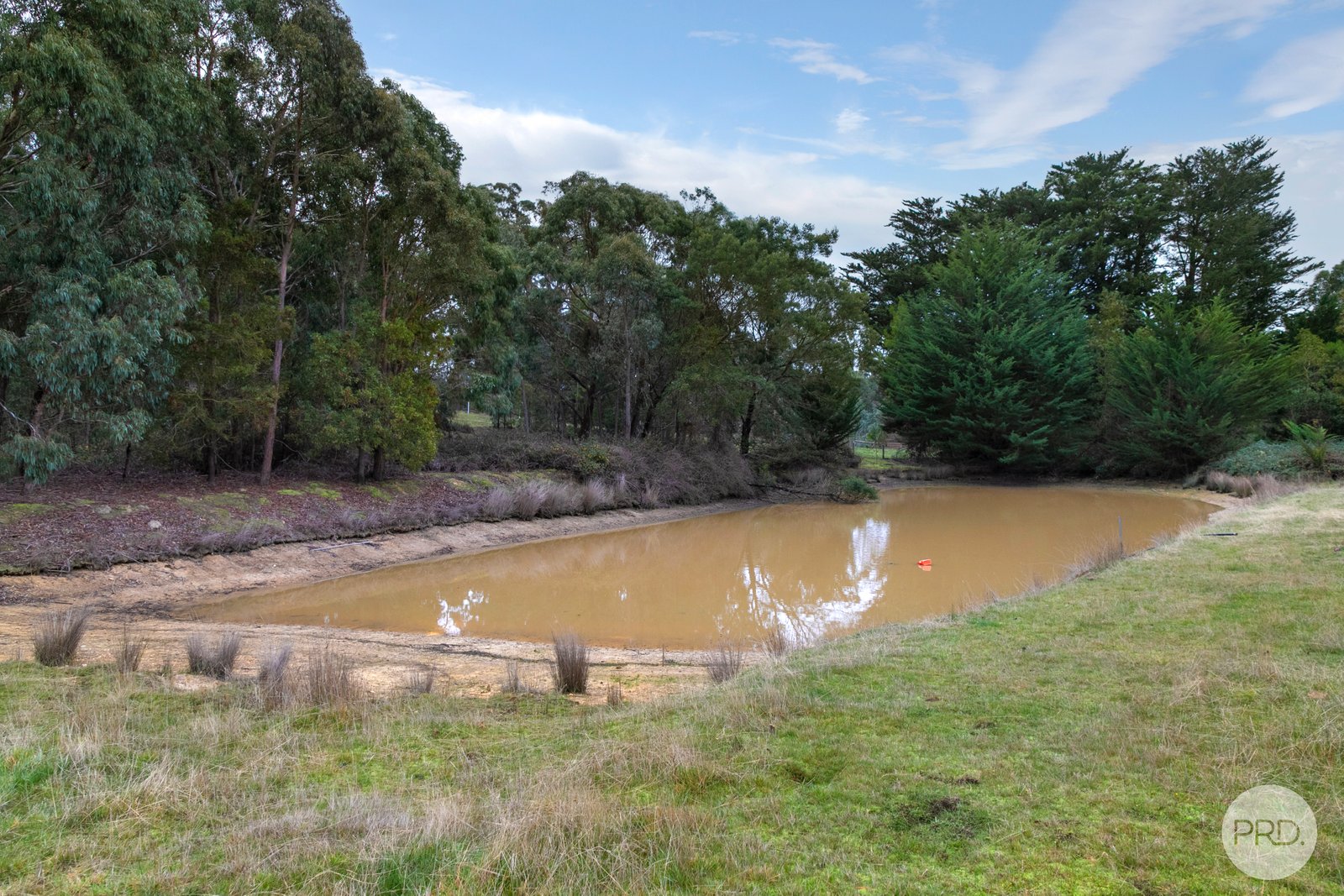 40 Tudors Road SMYTHES CREEK 15