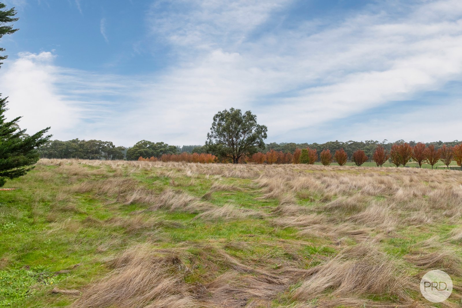 40 Tudors Road SMYTHES CREEK 17