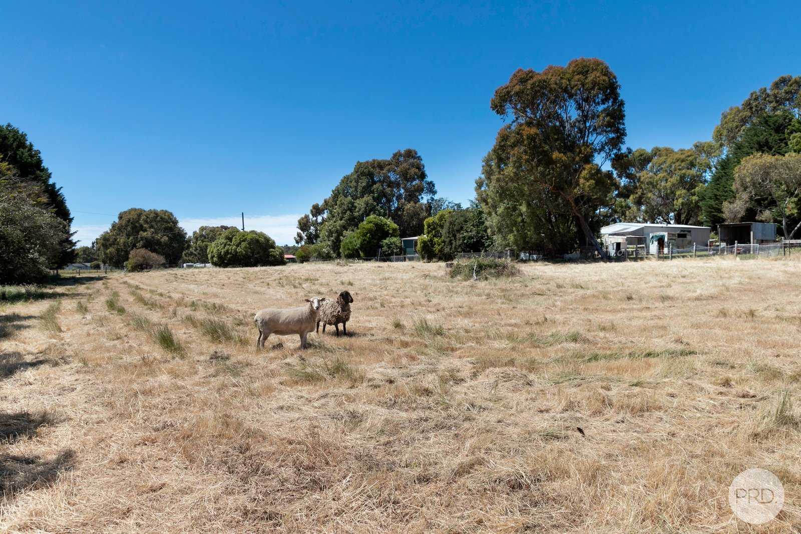 40 Vicki Court SCARSDALE 17