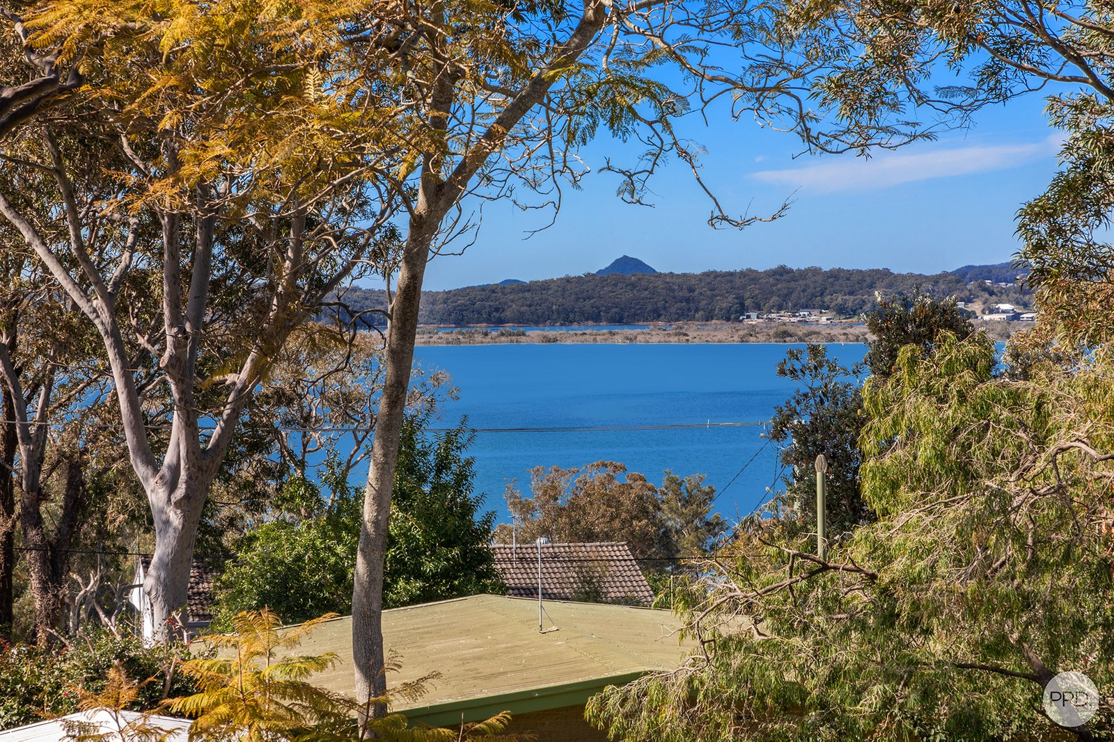 40 Whitbread Drive LEMON TREE PASSAGE 3