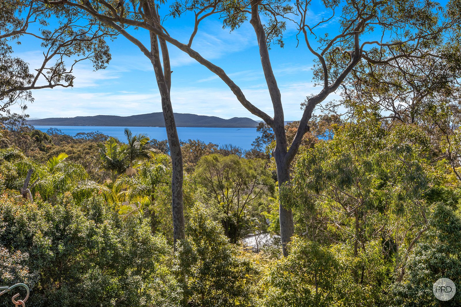 40 Whitbread Drive LEMON TREE PASSAGE 14