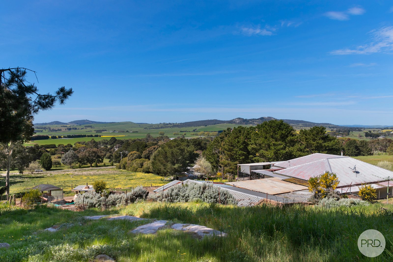 40 Wilcar Drive WAUBRA 12