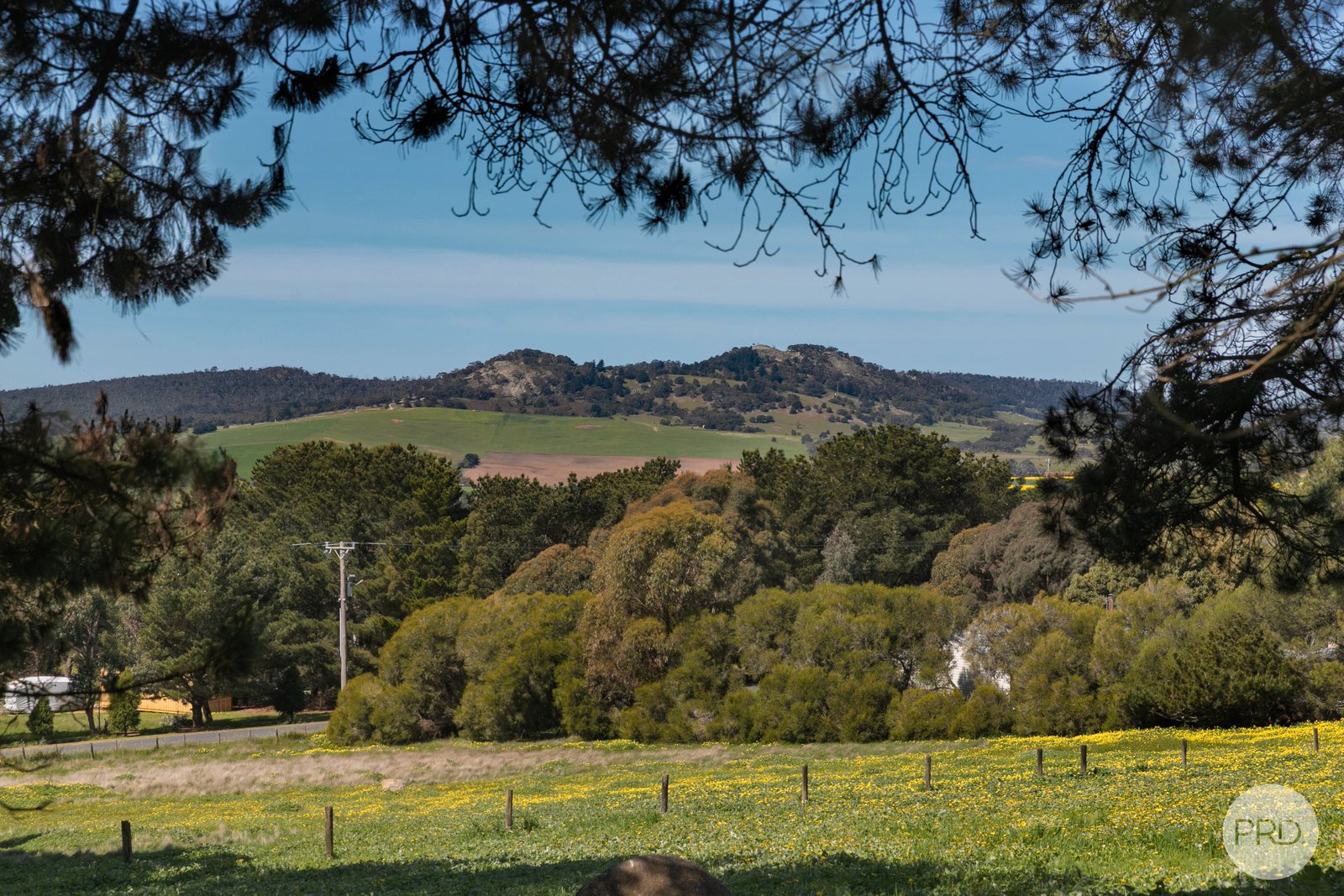 40 Wilcar Drive WAUBRA 14