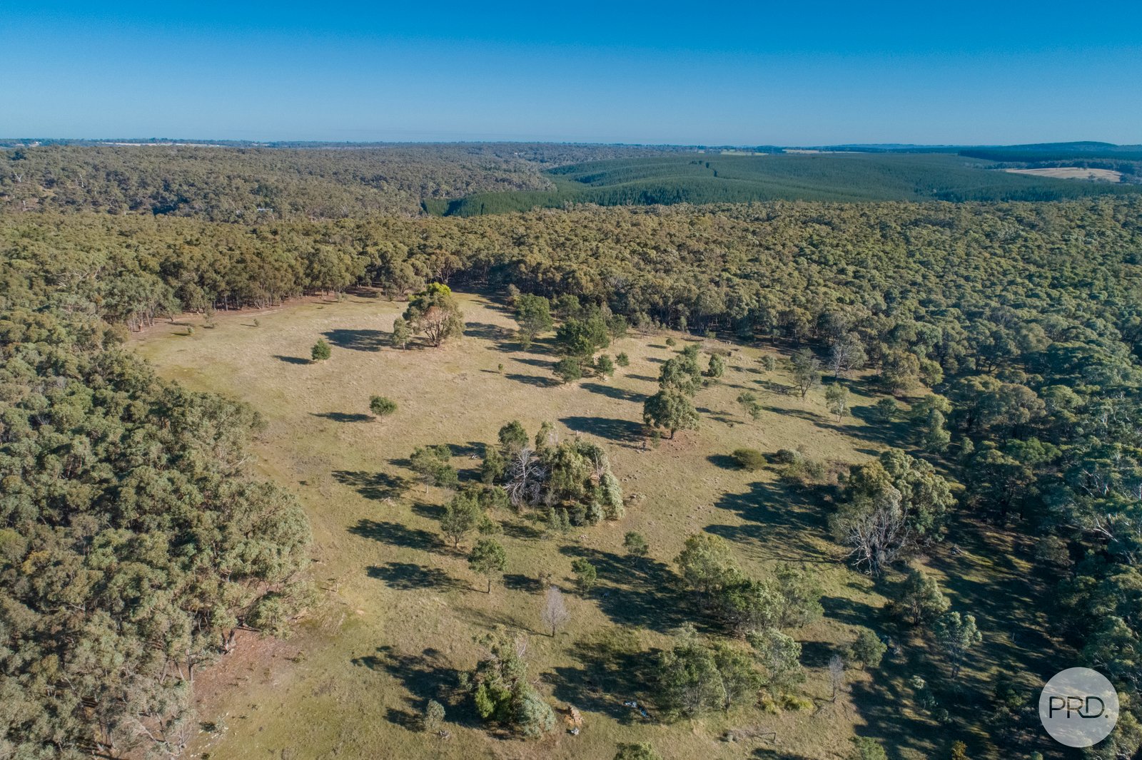 400 Tippetts Road DEREEL 2