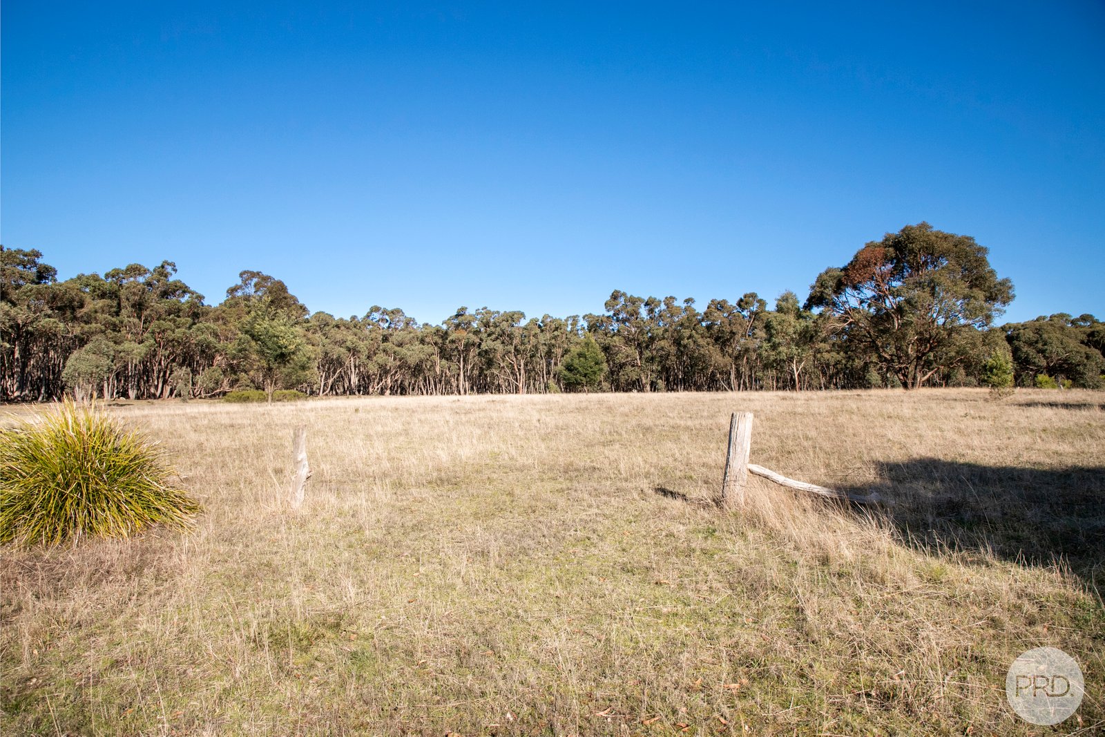 400 Tippetts Road DEREEL 5