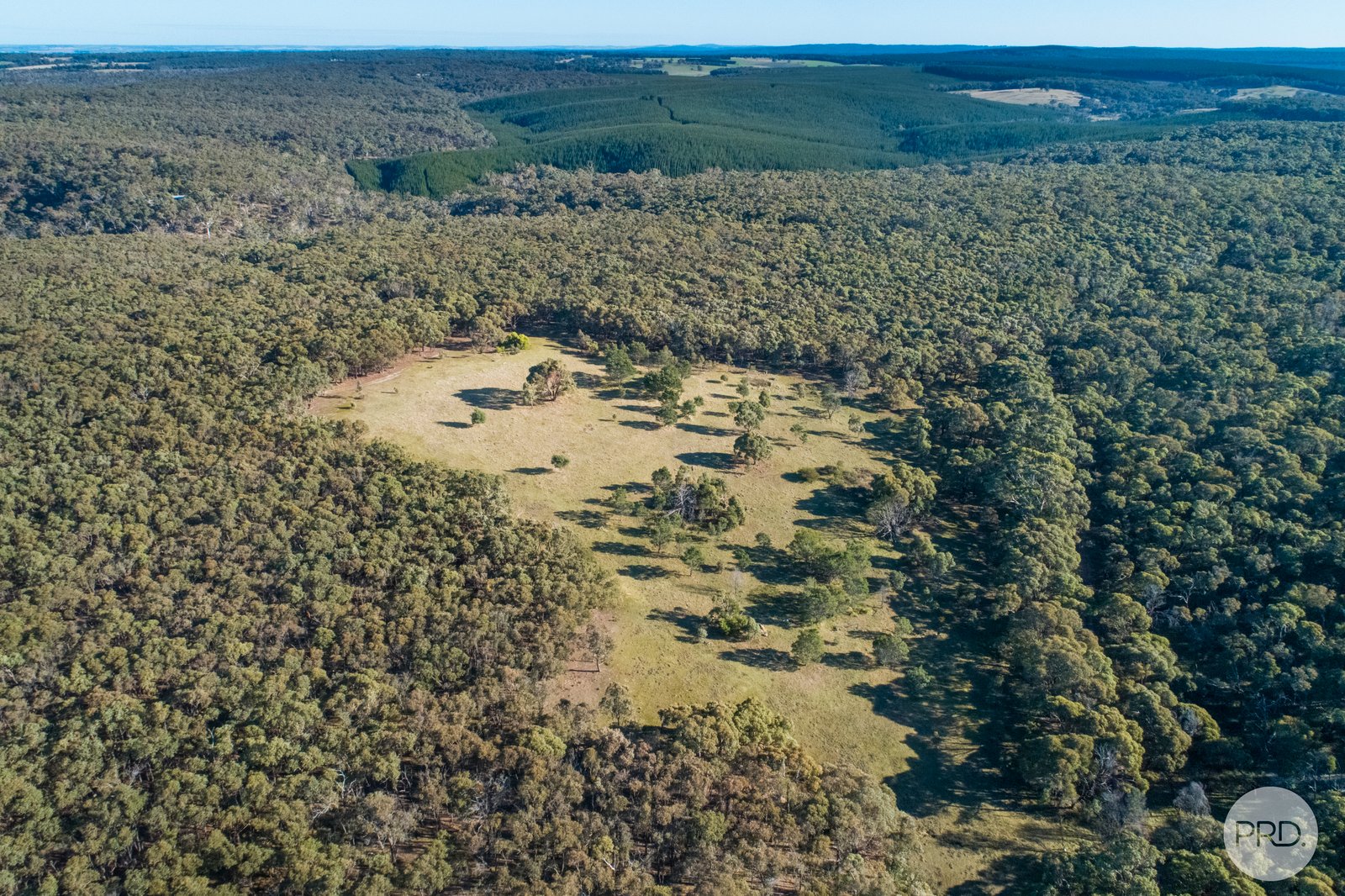 400 Tippetts Road DEREEL 9