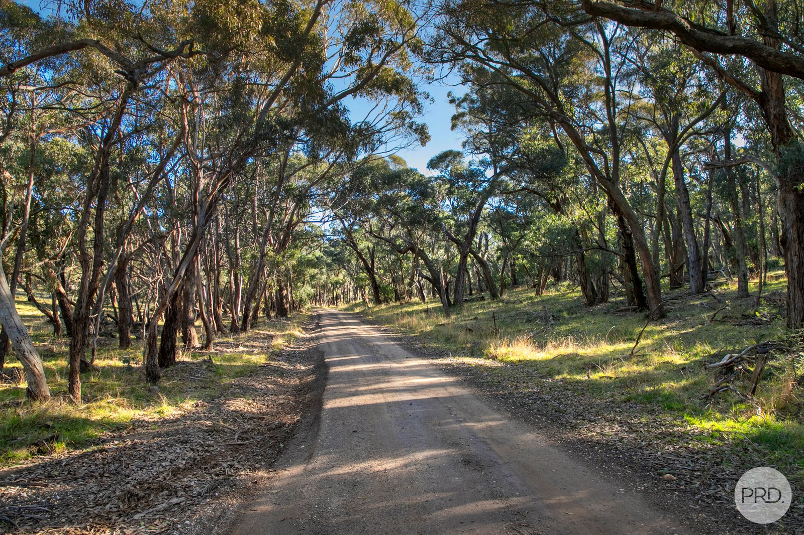 400 Tippetts Road DEREEL 10