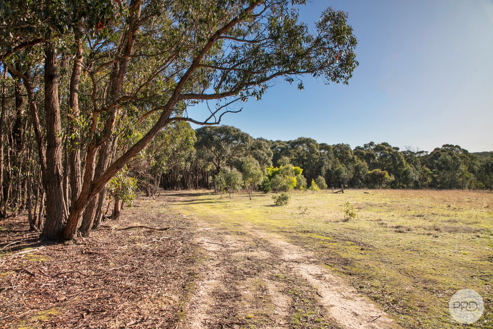 400 Tippetts Road DEREEL 11