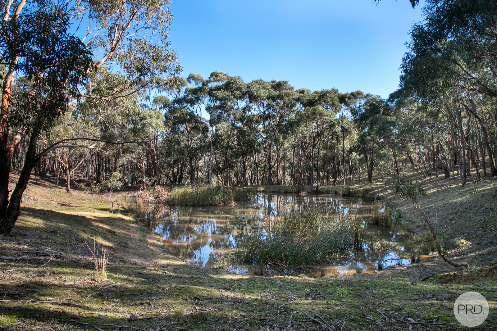 400 Tippetts Road DEREEL 12