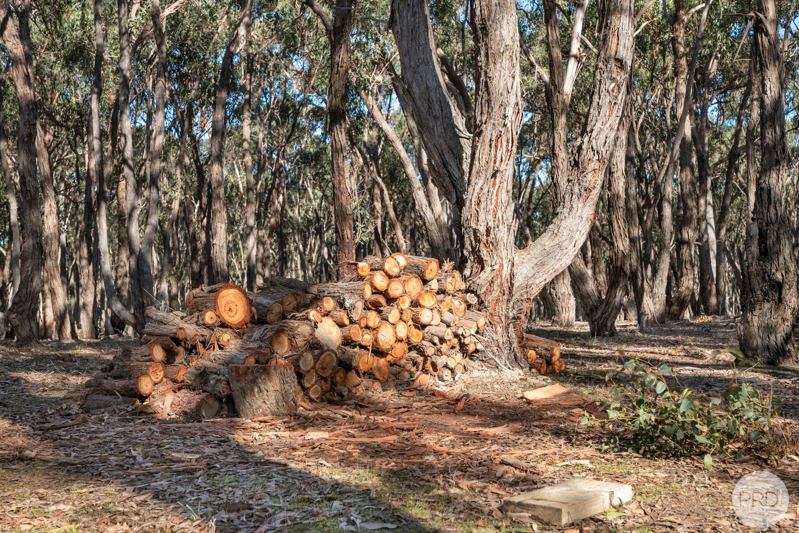 400 Tippetts Road DEREEL 14