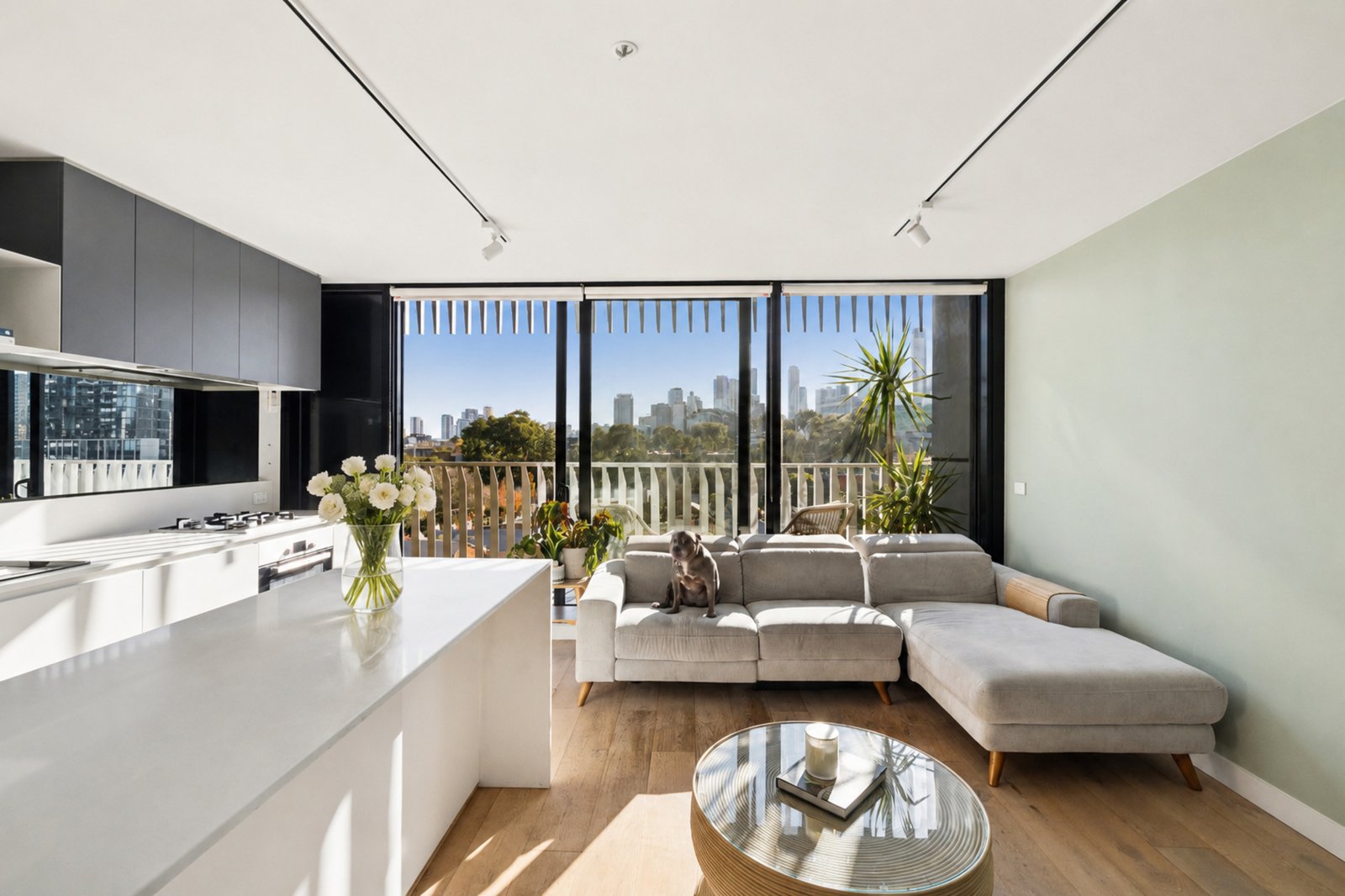 Gallery: 401/75 Palmerston Crescent