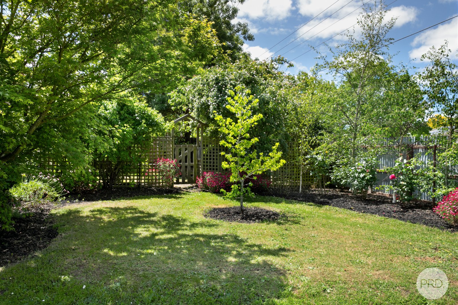 402 Darling Street REDAN 18