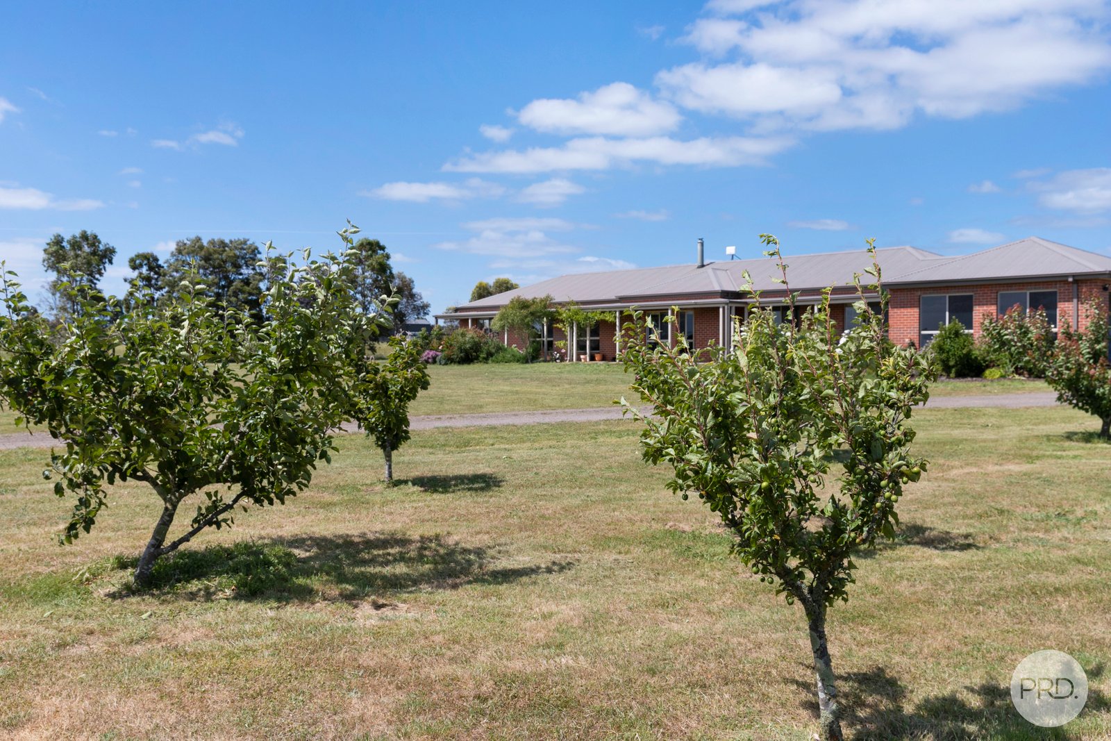 403 Dowling Road MITCHELL PARK 18