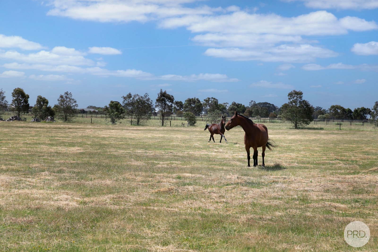 403 Dowling Road MITCHELL PARK 20