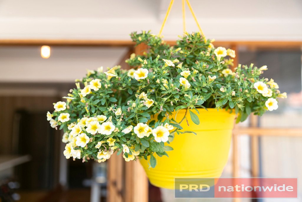 403 Gregory Street SOLDIERS HILL 23