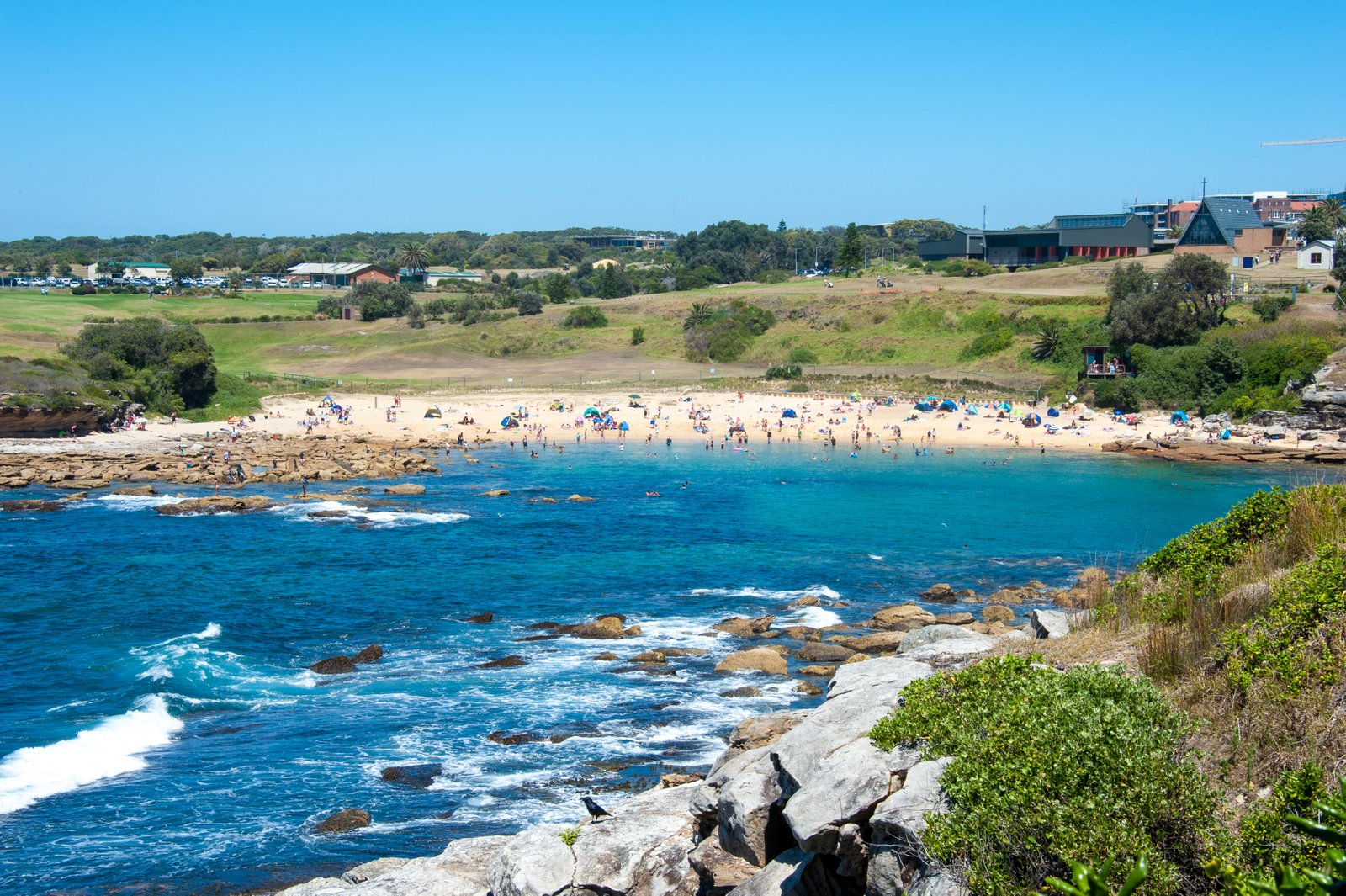 403/16 Flack Avenue HILLSDALE 20