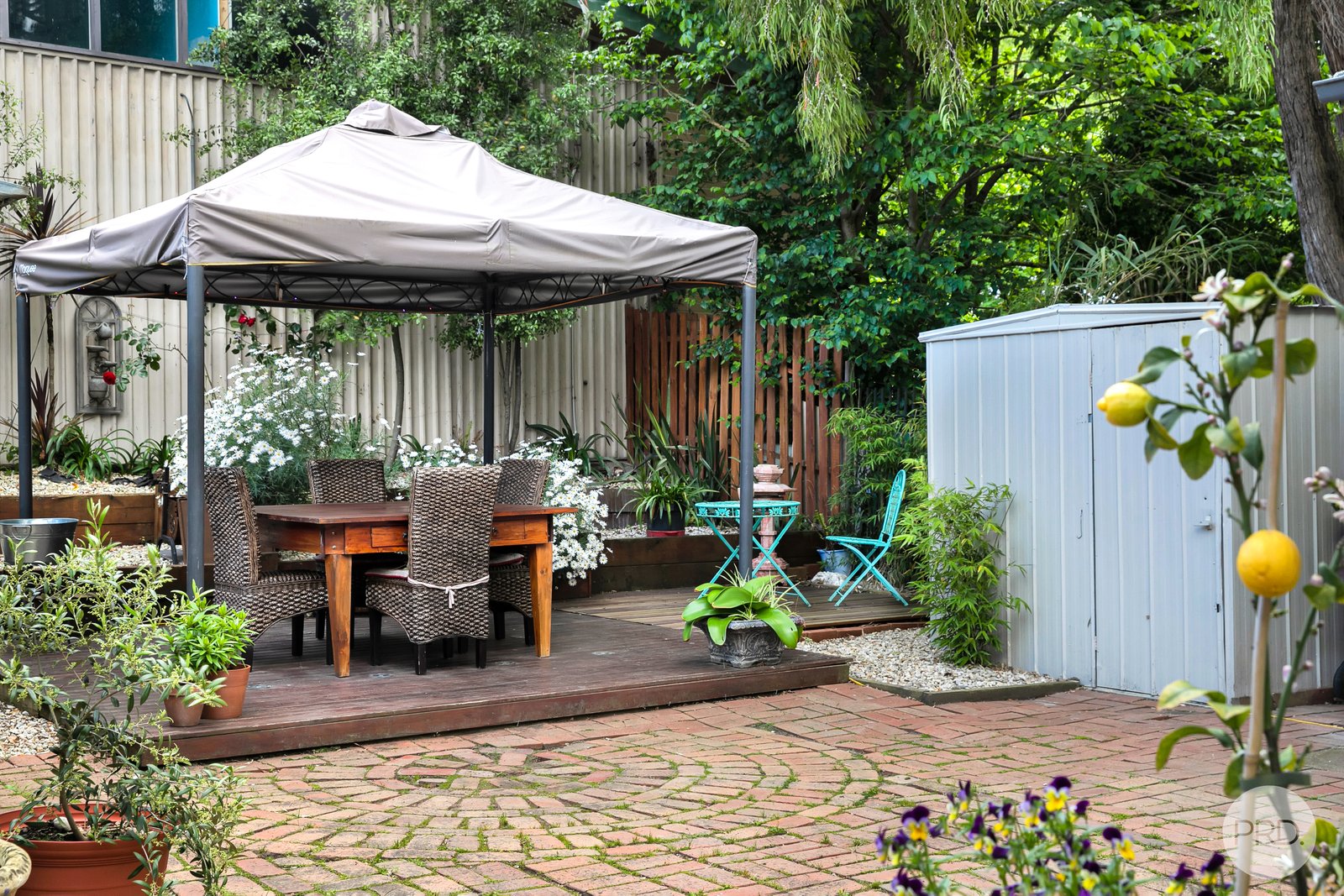 404 Skipton Street REDAN 10