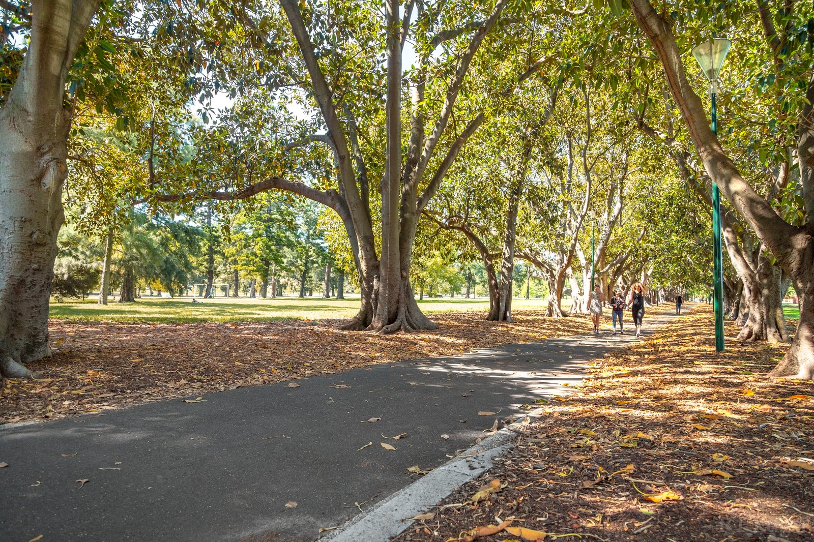 Real Estate and Property in 404/360 St Kilda Road, Melbourne, VIC